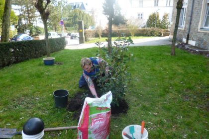 Der Frühling kommt