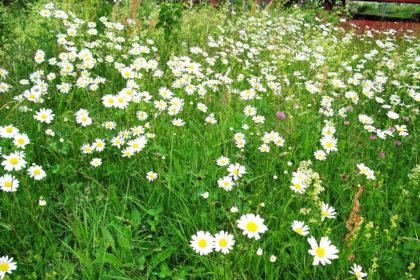 Start in den Frühling – mit Uwe Lange und den Hortkindern