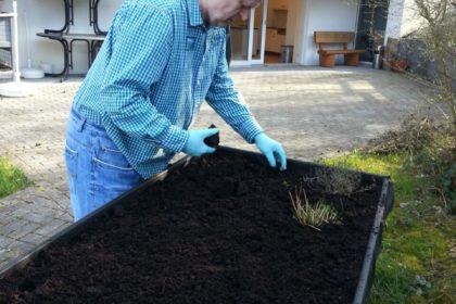 Unser Hochbeet wird bepflanzt