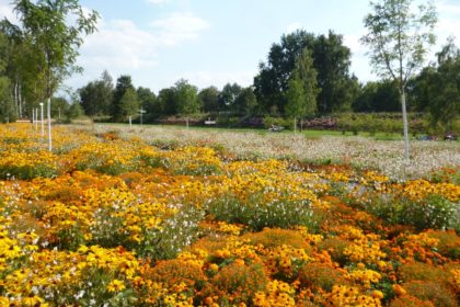 Ausflug zur Landesgartenschau