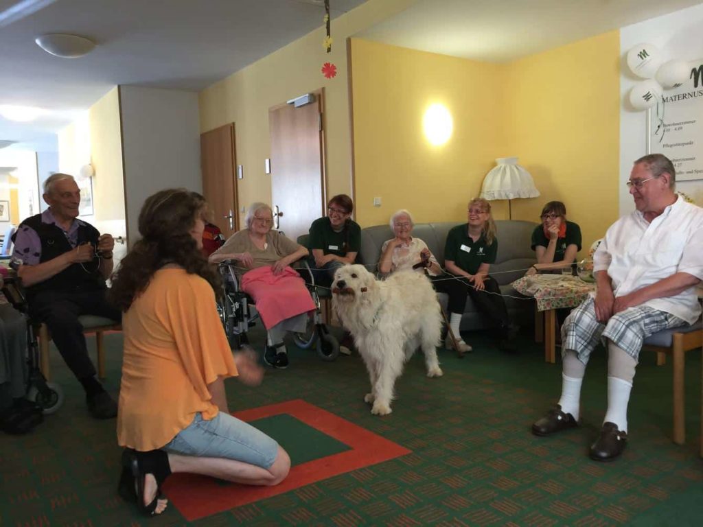 Die Bewohnerinnen und Bewohner haben Shiro auch als Therapiehund in ihr Herzgeschlossen