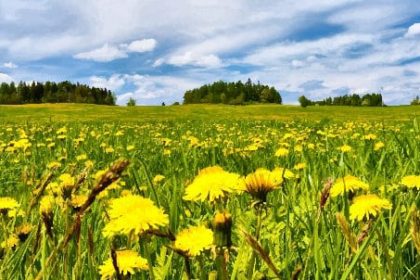 „Frühlingserwachen“ im Cura Seniorencentrum Heiligenhafen – Senioren rufen sehnsüchtig den Frühling herbei!