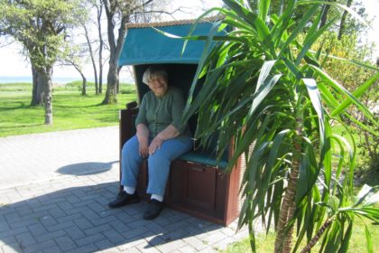 Unternehmen Yucca Palme – Ein botanisches Experiment an der Ostseeküste