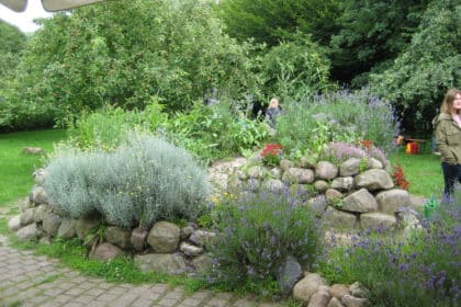 Sommerfest im Generationengarten:   „Ein Volksdorfer Idyll“