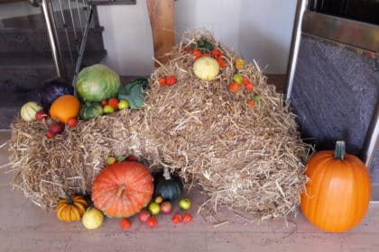 Herbsteinstimmung und Angehörigenabend