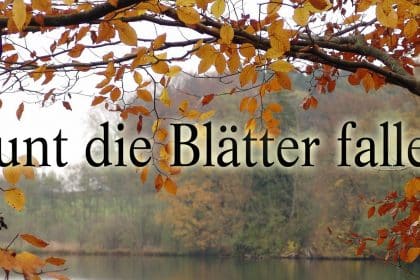 Bunt die Blätter fallen – ein literarischer Nachmittag