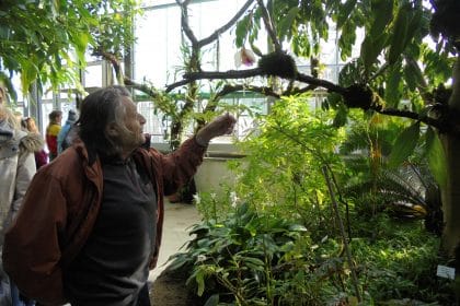 Besuch bei den Schmetterlingen im Botanischen Garten