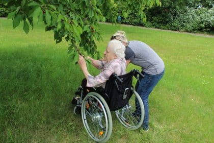 Juni ist Kirschenzeit