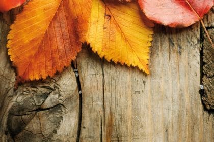 Einladung zu unserem bunten Herbstfest