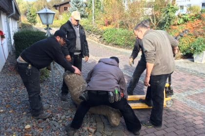 Umzug unserer Robbe in den Vorgarten