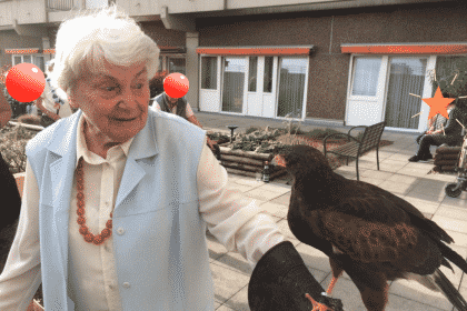 Besuch vom Falkner in Köln-Rodenkirchen