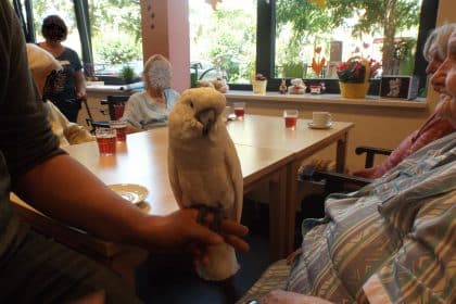 Tierischer Besuch im CURA Seniorenzentrum HH-Bergedorf