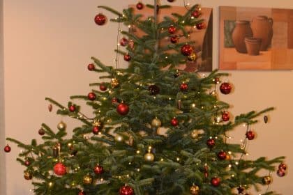 Die Seniorenresidenz „Unter der Homburg“ in Stadtoldendorf wünscht Ihnen ein gesegnetes Weihnachtsfest und einen guten Rutsch ins neue Jahr