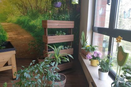 Unser Blumenzimmer – ein Ort der Entspannung und Natur erleben