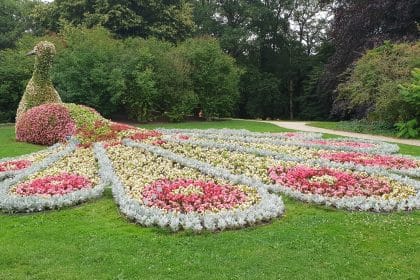 Unsere Seniorenreise in die Blumenpracht der Schlossgärten von Arcen