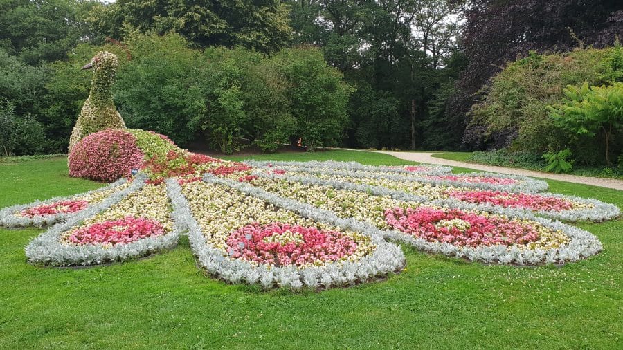 Blumenpfau Gärten Arcen