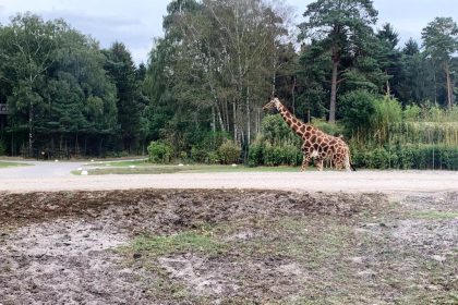 Ausflug in den Serengetipark