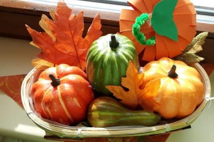 Rückblick auf den Herbst in Schönheide