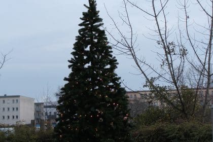 Weihnachtsmarkt im Cura Seniorenzentrum Halle Lutherbogen