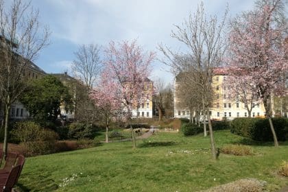 Das Leben im Angelika-Stift geht weiter- ein Team hält zusammen