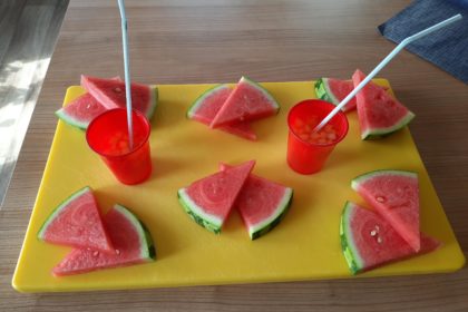 Ein kleines spontanes Picknick mit Musik bei schönstem Wetter in unserem herrlichen Garten