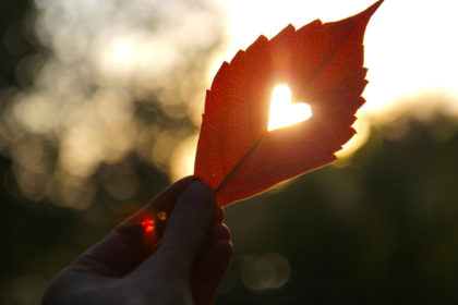 „Bunt sind schön die Wälder, gelb die Stoppelfelder und der Herbst beginnt …“