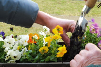 Start in den Frühling im Maximilianstift