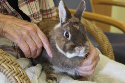 Tiergestütze Therapie