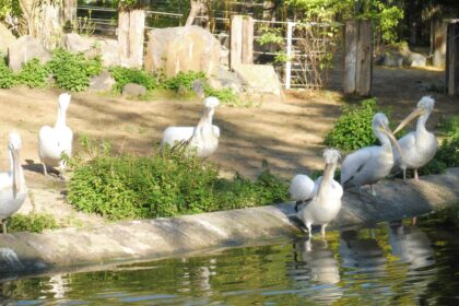 Tierisch, tierisch – Rückblick auf unseren Ausflug in den Zoo Leipzig