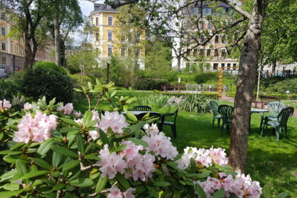 Im Angelika-Stift Leipzig grünt und blüht es