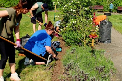 ? Gemeinsamer Subbotnik im CURA-Garten ?