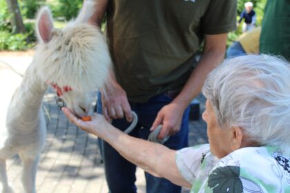 Tierischer Besuch in unserem Garten ?