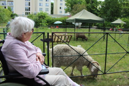 Ein Zoo in unserem Garten ?